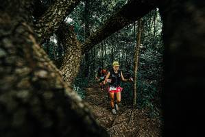 BIB: 
                            <button type="button" onclick="openModal(25666797)" class="btn btn-primary btn-sm float-right btn-popup" data-toggle="modal" data-target=".modal-high-quality">
                        <i class="fas fa-shopping-cart"></i> Add to Cart
                    </button>
                                            <button type="button" onclick="isThisMe(25666797, true)" class="btn btn-success btn-sm float-right btn-popup btn-isme hidden" data-toggle="tooltip" data-placement="bottom" title="นี่คือรูปของคุณใช่ไหม คลิกที่นี่เพื่อเอาเข้าอัลบั้ม">
                        <i class="fas fa-plus"></i> Add to album
                    </button>
                    <button type="button" onclick="isThisMe(25666797, false)" class="btn btn-warning btn-sm float-right btn-popup btn-isnotme hidden">
                        <i class="fas fa-ban"></i> Remove from album
                    </button>